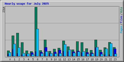 Hourly usage for July 2025