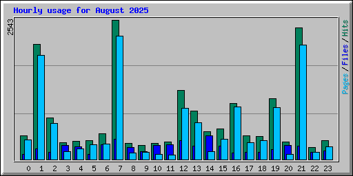 Hourly usage for August 2025