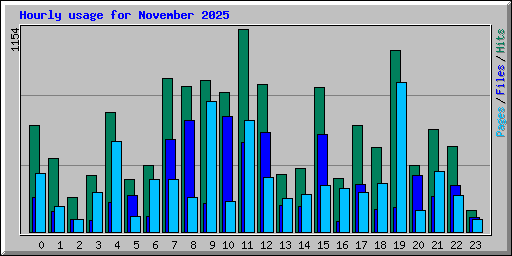 Hourly usage for November 2025