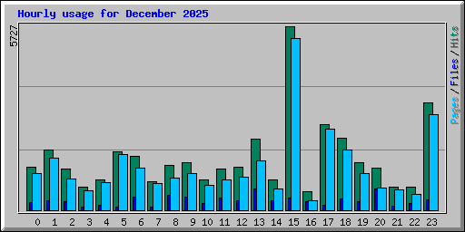 Hourly usage for December 2025